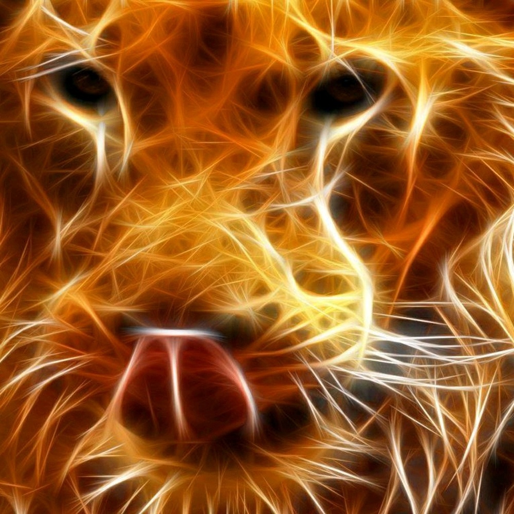 Meet your Posher, Dalaine